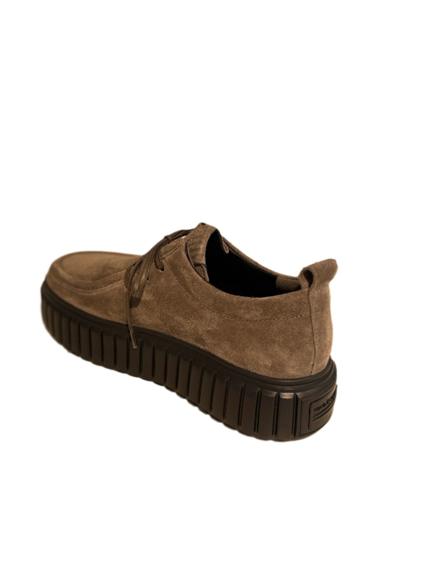 Zap Kennel & Schmenger