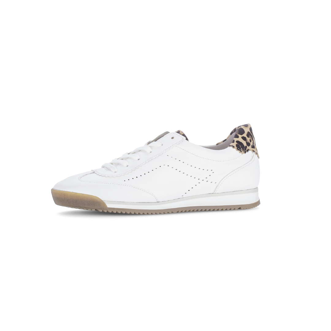 Novice leather trainer by Gabor