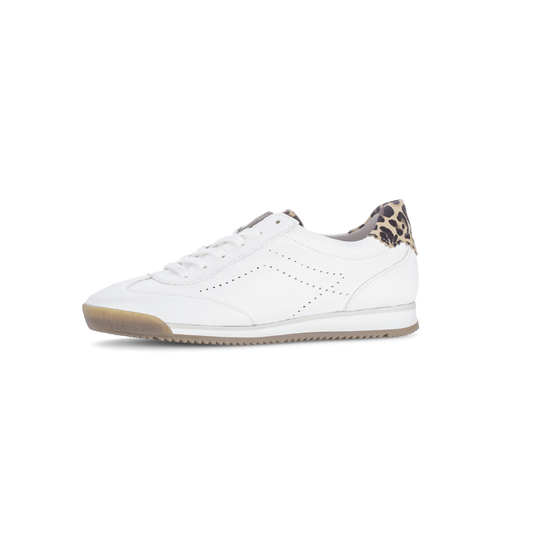 Novice leather trainer by Gabor