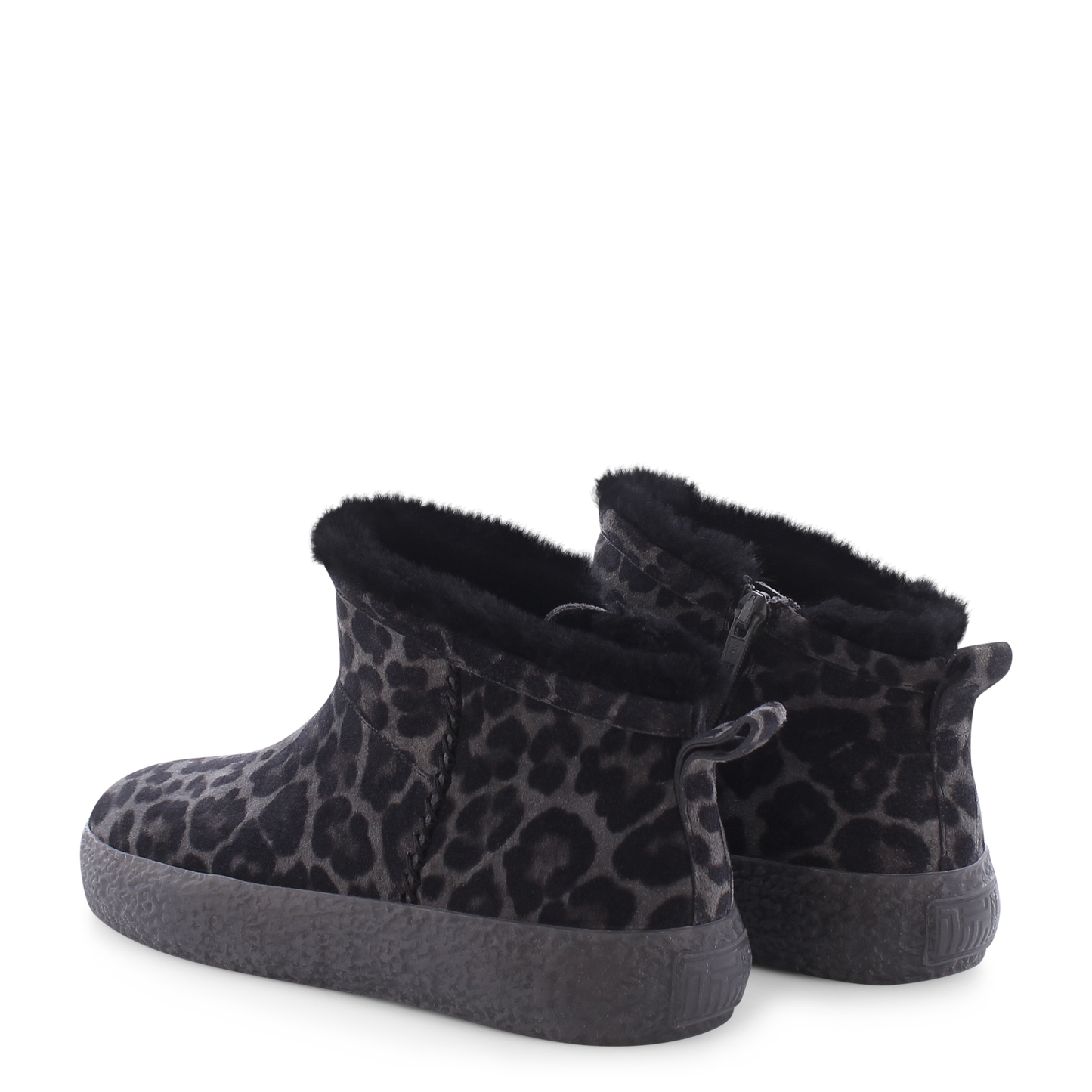 Pit Kennel & Schmenger