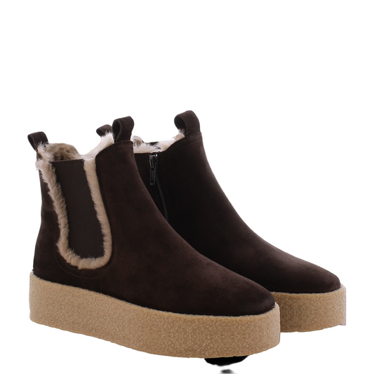 Bazar Kennel & Schmenger