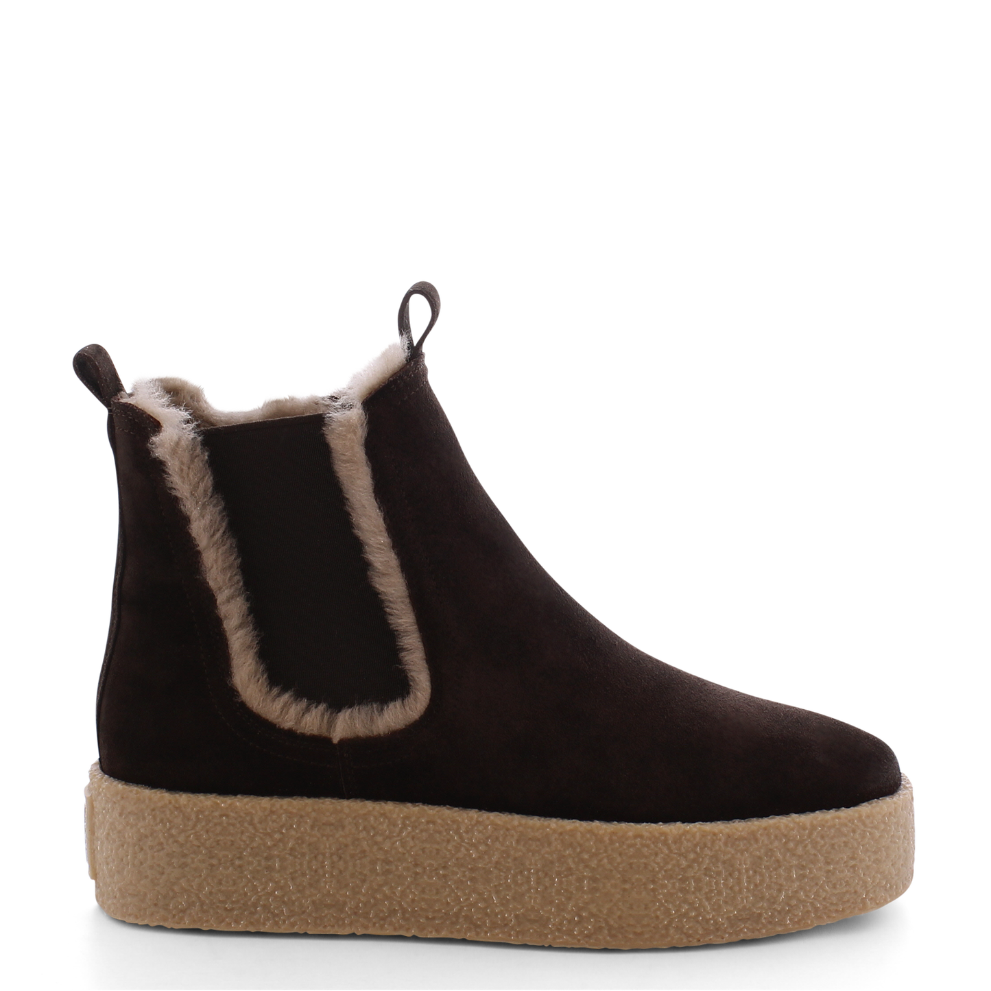 Bazar Kennel & Schmenger