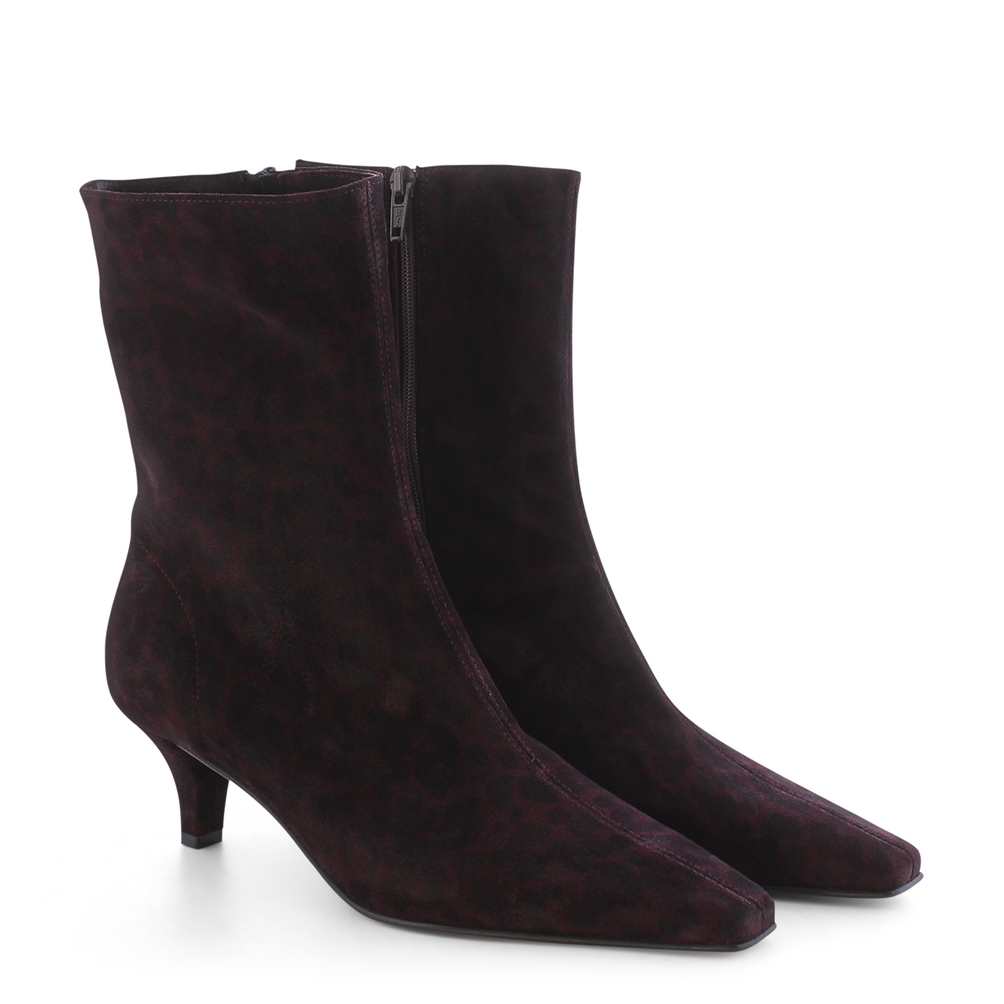 Franca Kennel and Schmenger