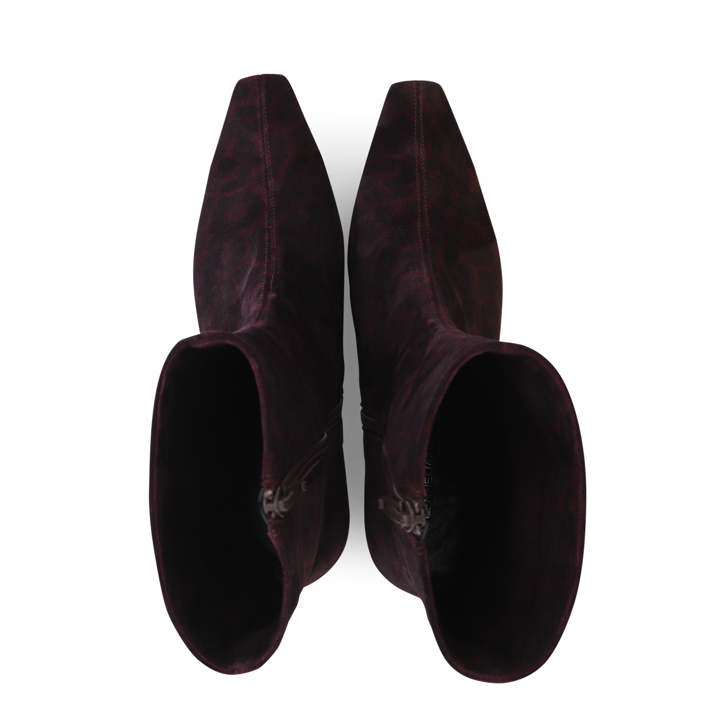 Franca Kennel and Schmenger