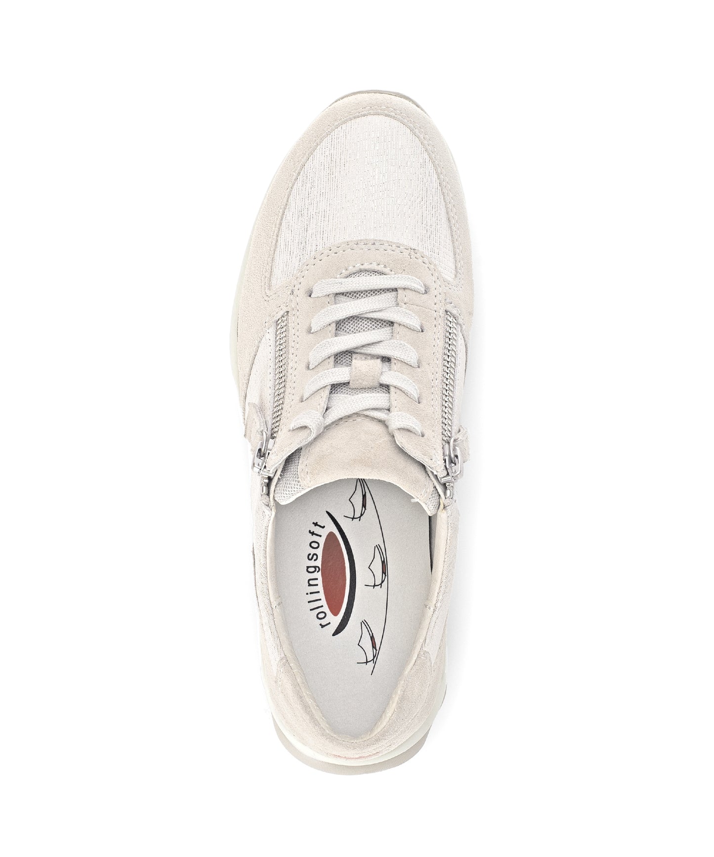 Oyster Fantastic Gabor