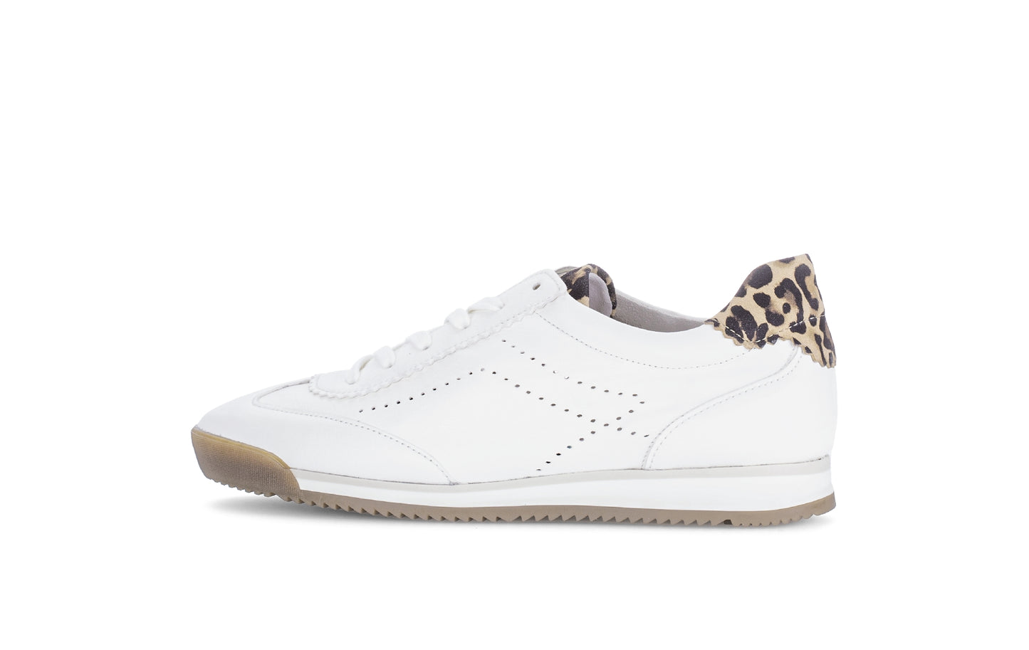 Novice leather trainer by Gabor