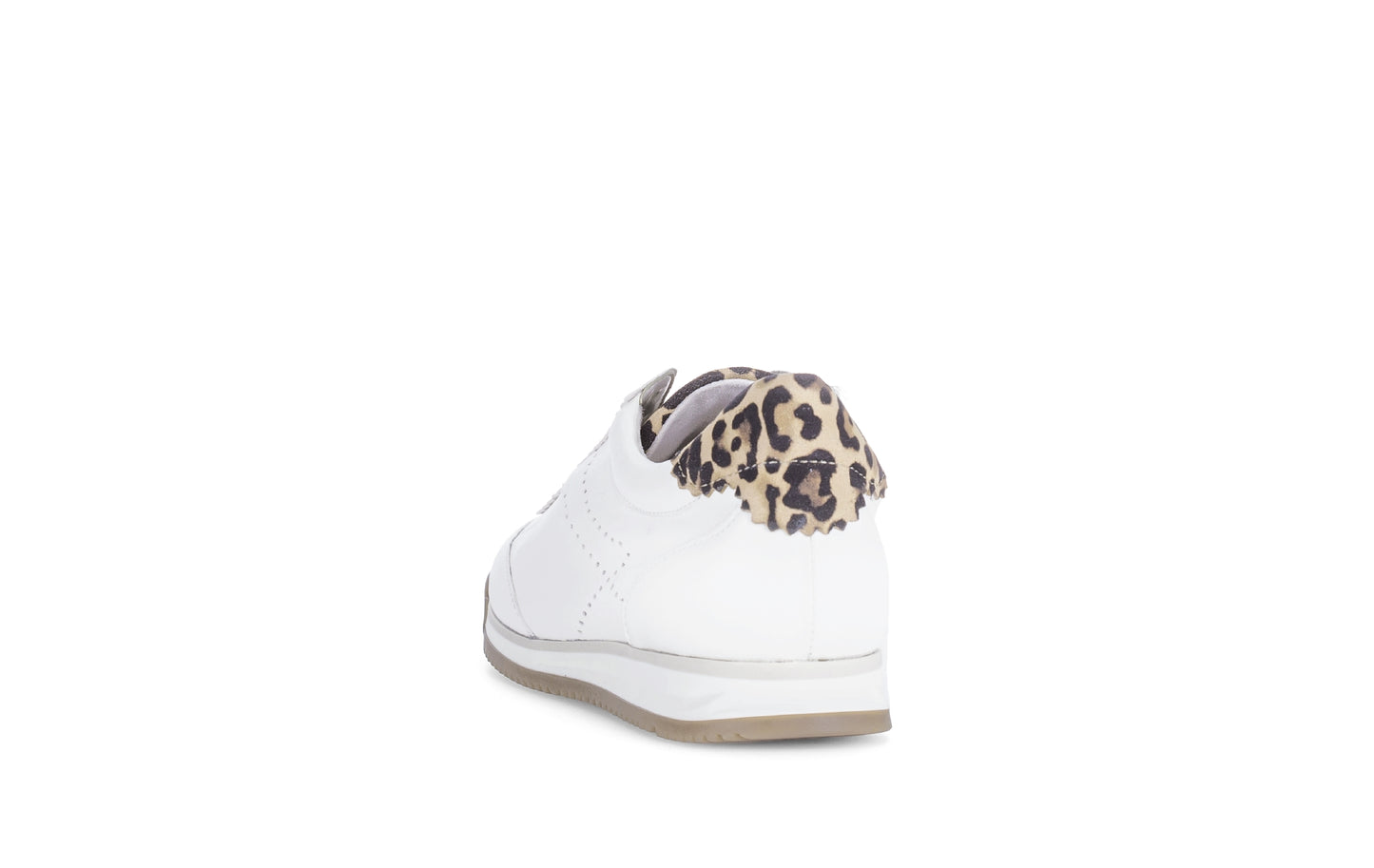 Novice leather trainer by Gabor