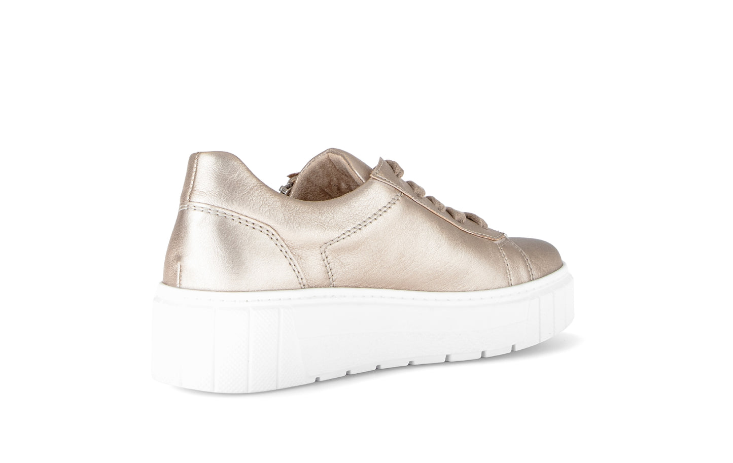 Ferry trainer by Gabor