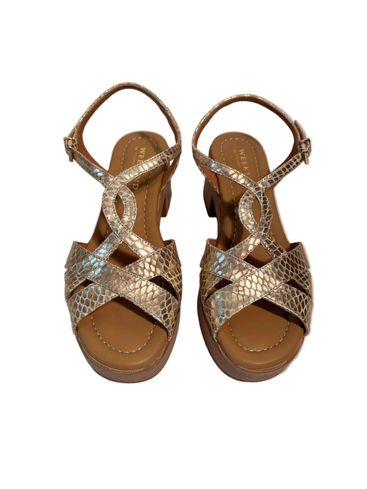 Maya by Pedro Miralles