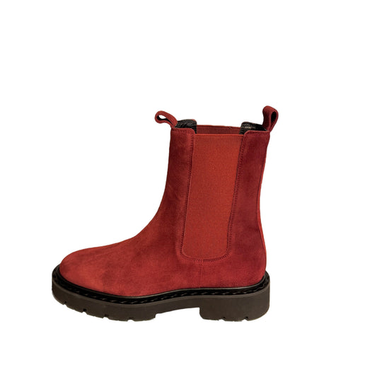 Molly Kennel & Schmenger